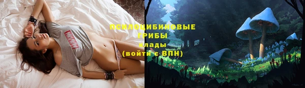 мескалин Белокуриха