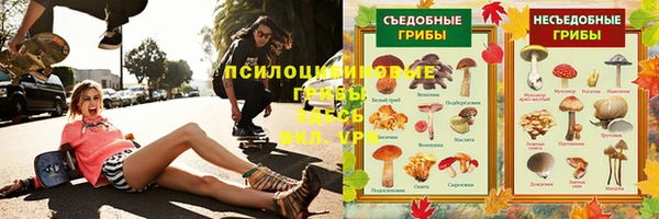 гидра Белоозёрский