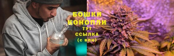 таблы Богородицк