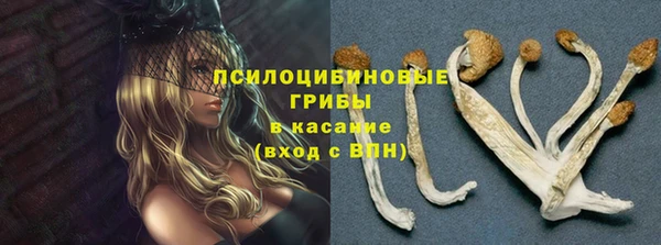 мескалин Белокуриха