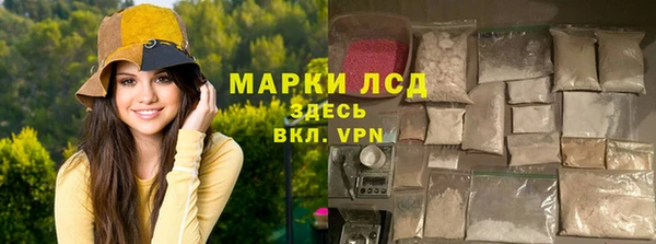 хмурый Сатка